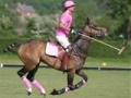 polo horse